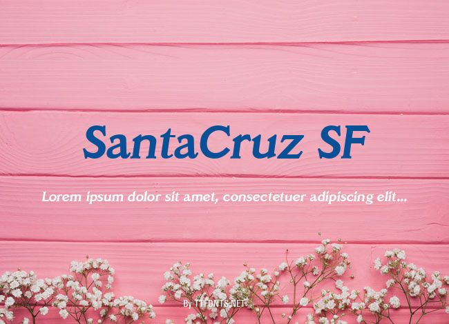 SantaCruz SF example